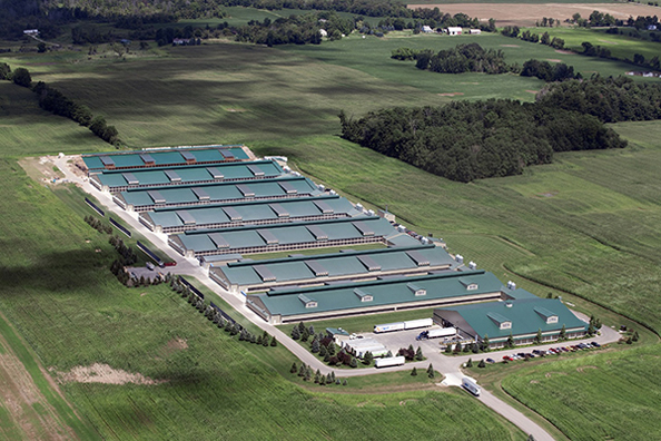 Шаньдунская группа SSREE