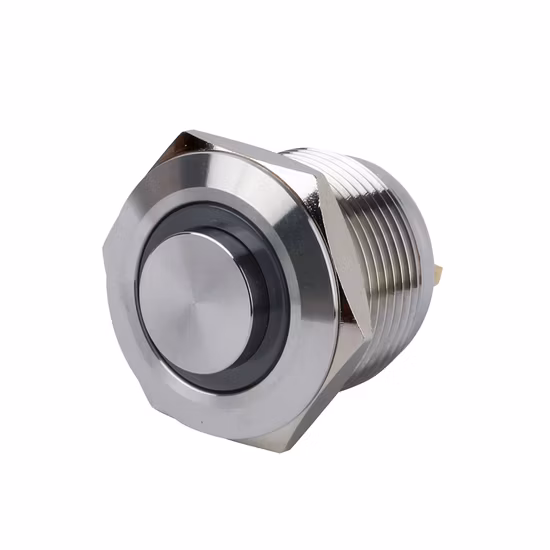 Qn16-A2 3A/250VAC 16mm 2 Screw Feet Momentary Switch Metal Push Button Switch